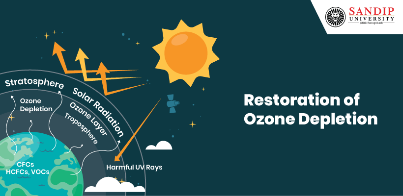 Ozone-Depletion