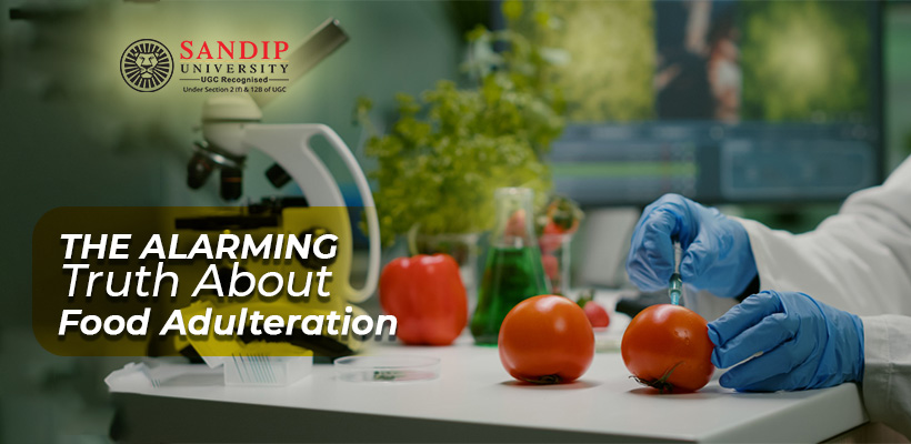 Hidden Poisons on Our Plates: The Alarming Truth About Food Adulteration