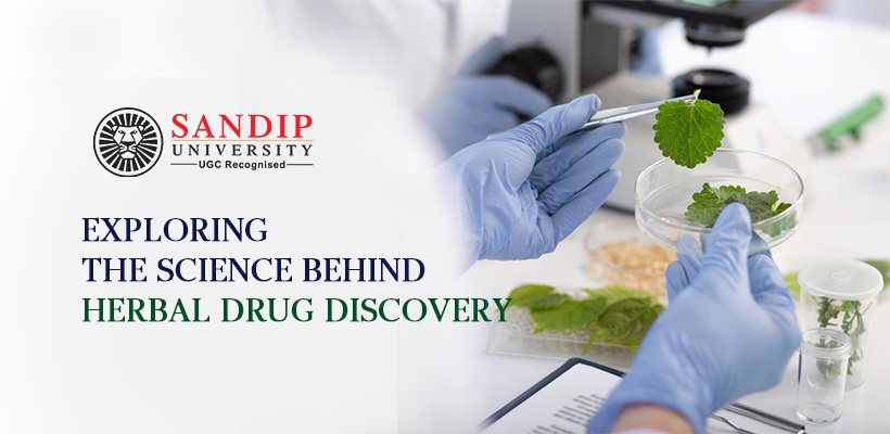 From Roots to Remedies: The Science Behind Herbal Drug Discovery