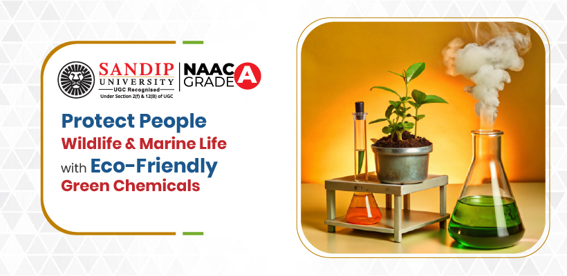 From Pollution to Solution: The Rise of Green Chemistry