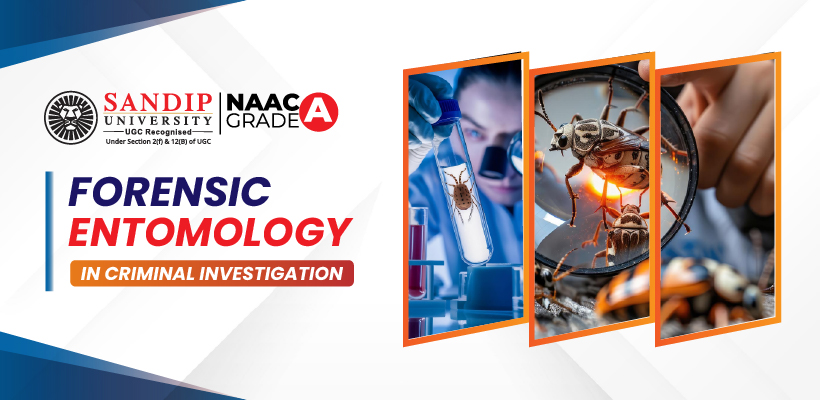 Forensic entomology insects on decomposing body