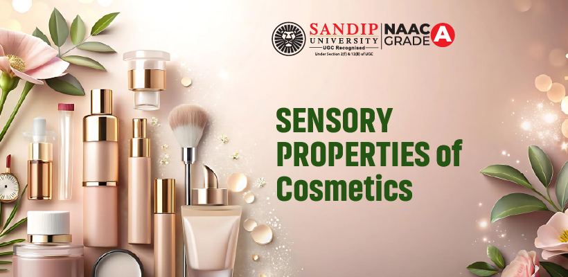 Texture and sensory properties of cosmetic cream on skin