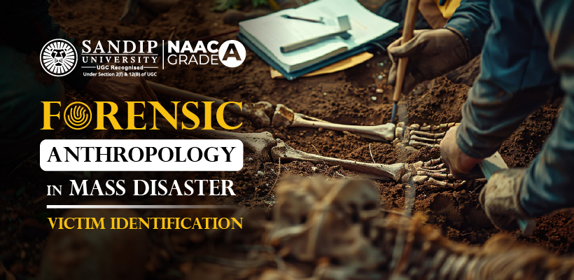 Forensic anthropology skeletal analysis in mass disasters