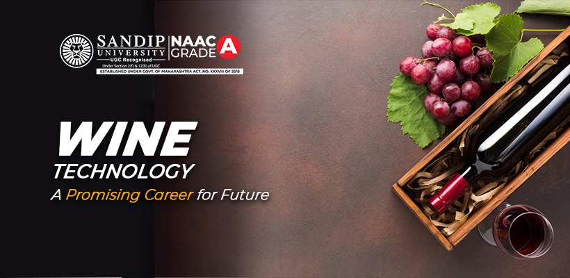 Career opportunities in wine technology and vineyard management