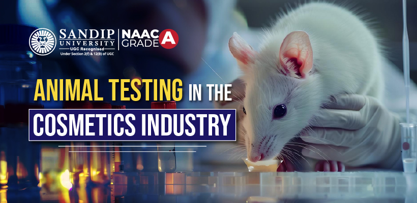 animal testing in cosmetics laboratory rabbits