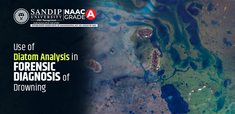Diatom structure under microscope in forensic analysis