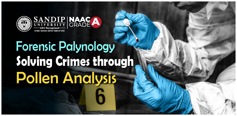 Forensic scientist examining pollen grains under a microscope for crime investigation